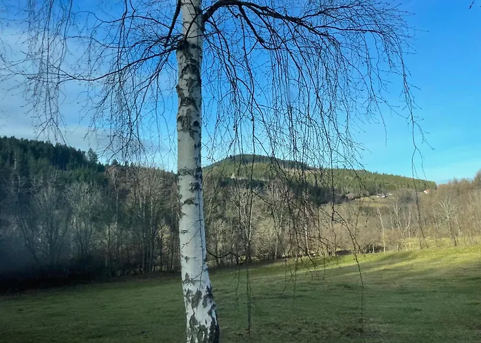 Apartament Na Sumave